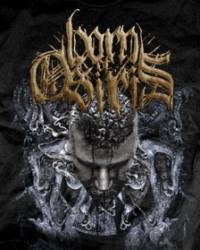 Born Of Osiris : Narnia